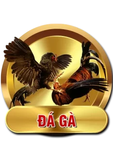 ĐÁ GÀ - BJ88 | BJ88VN